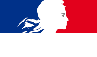 CHARTE GRAPHIQUE REPUBLIQUE FRANCAISE 300 BLA